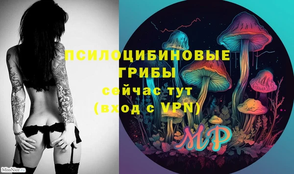 прущие грибы Балахна