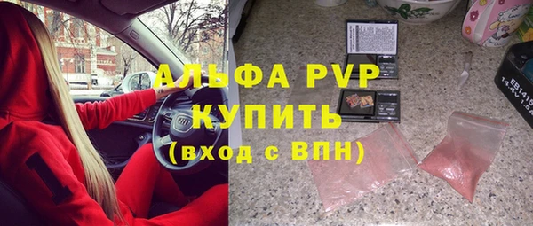 прущие грибы Балахна