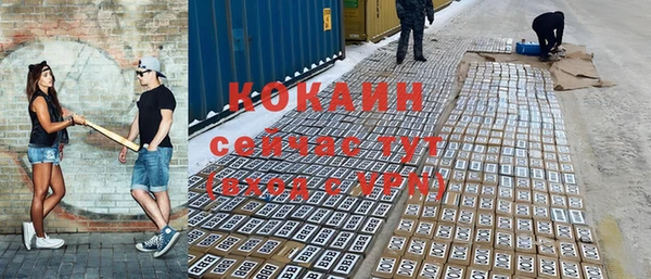 прущие грибы Балахна