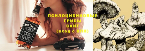 прущие грибы Балахна