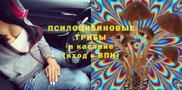 прущие грибы Балахна
