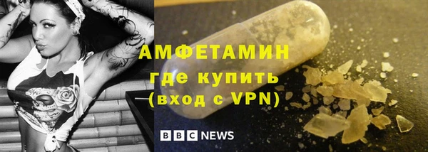 прущие грибы Балахна