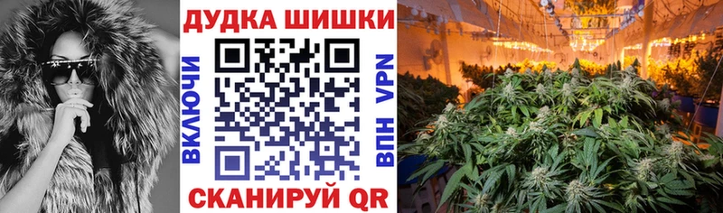 Бошки марихуана ГИДРОПОН  купить наркоту  Лесозаводск 